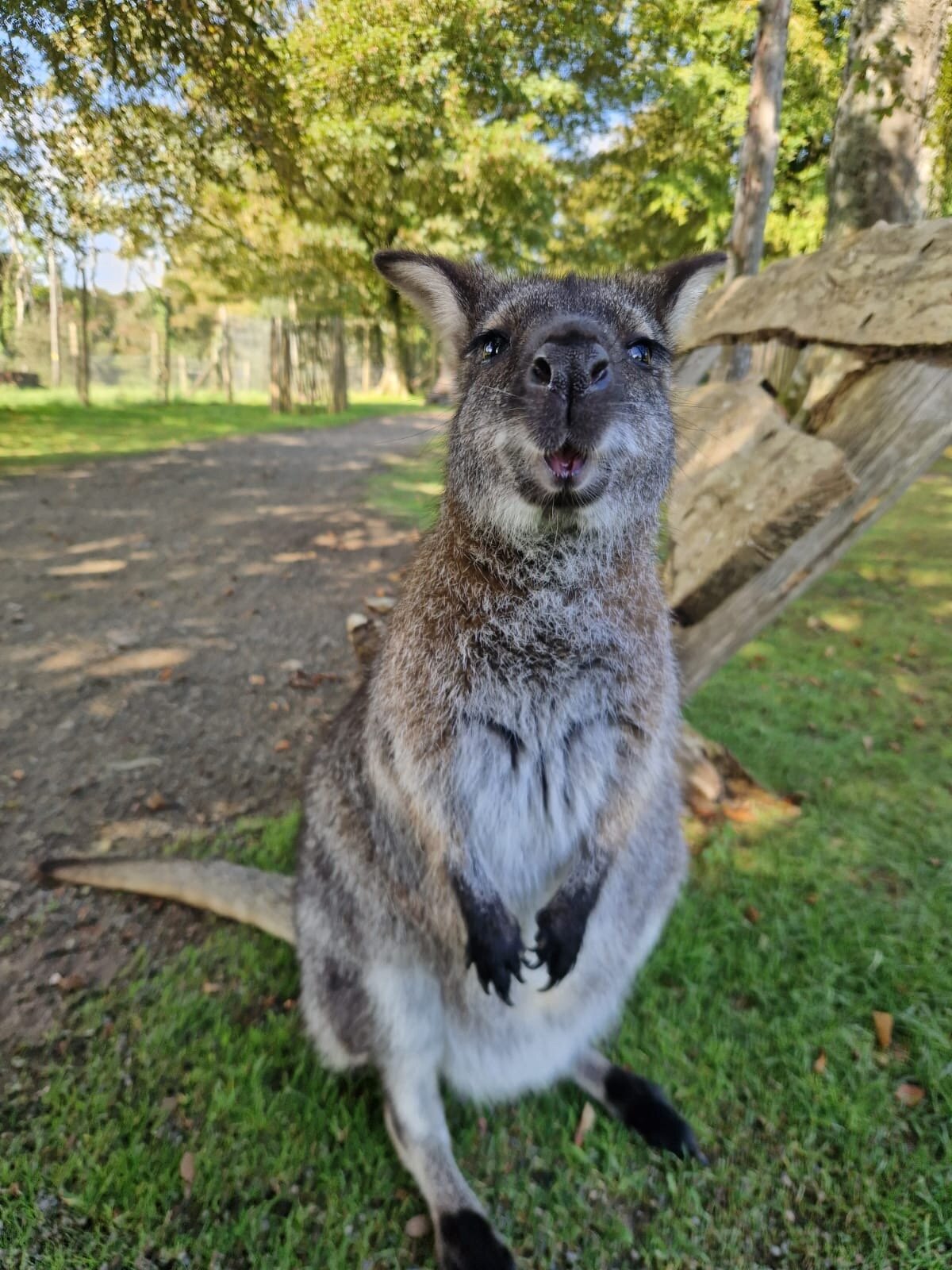 Picture of Manor Wildlife Park