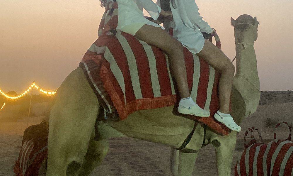 Recorrido por las dunas rojas en quad, Sandboarding, paseo en camello y barbacoa en el campamento Al Khayma