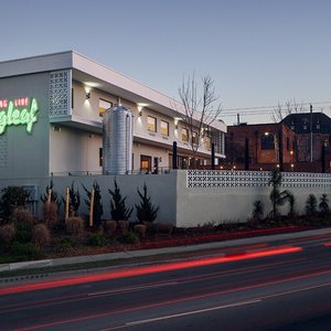 Longleaf Hotel Raleigh