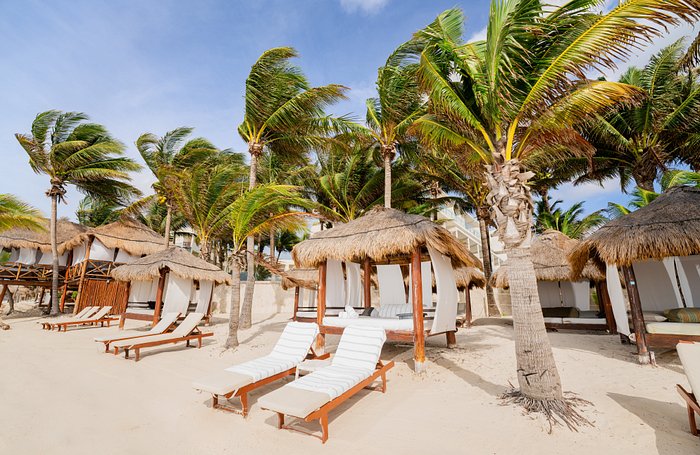 Azul Beach Resort Riviera Cancun Pool Pictures & Reviews - Tripadvisor