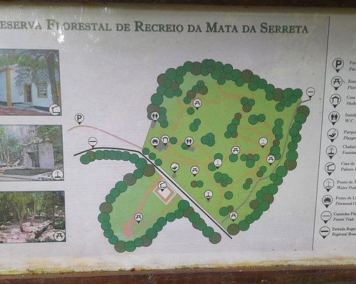 Mapa florestal portugal