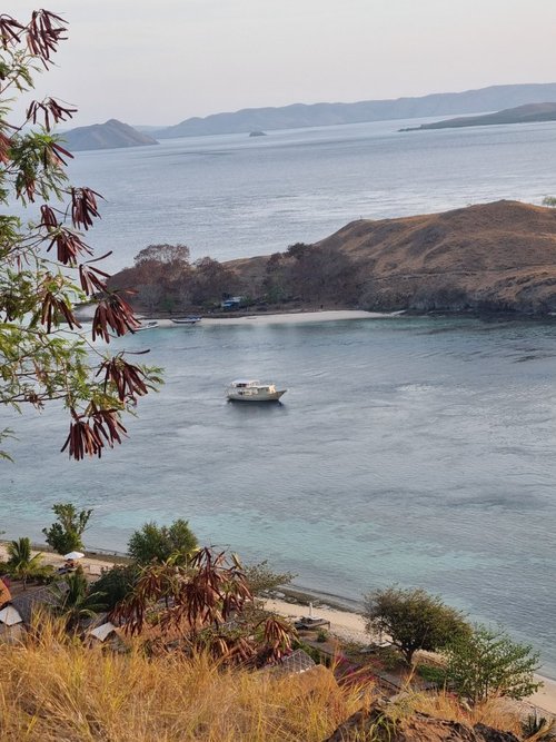 KOMODO RESORT & DIVING CLUB - Updated 2023 (Labuan Bajo, Indonesia)