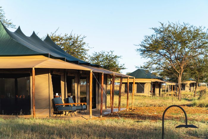 HARMONY SAFARI CAMPS - Updated 2024 Campground Reviews (Seronera, Tanzania)