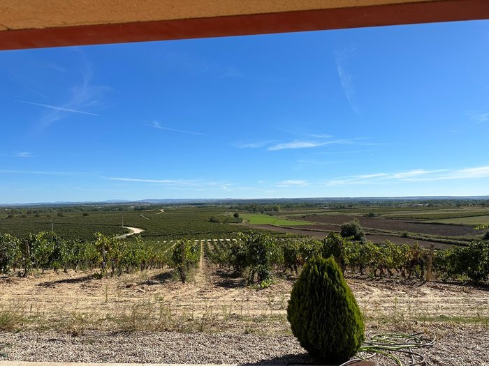Imagen 10 de Bodegas Duron