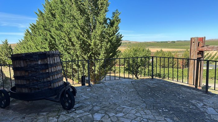 Imagen 9 de Bodegas Duron