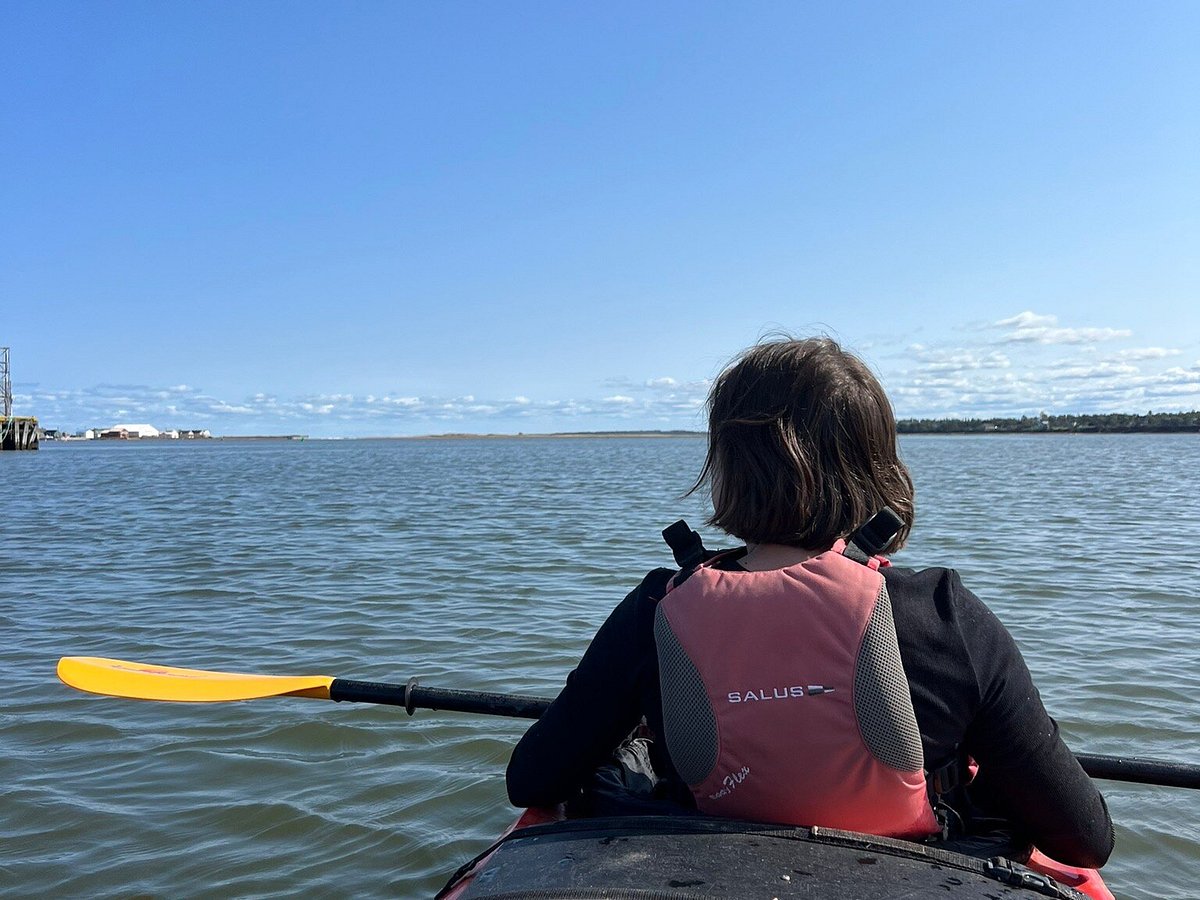 Your Kids are Sure to Love this Adventure - Deep Sea Fishing in North  Rustico! - Cavendish Beach