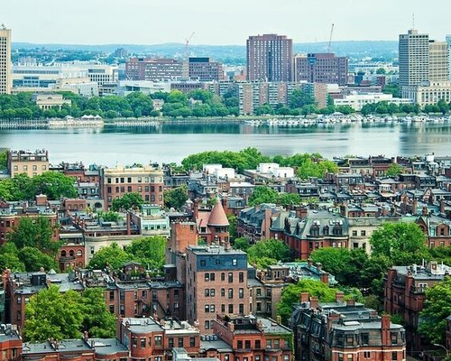 Excursão pelos jardins ocultos de Boston