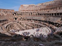 Excursão para grupos pequenos do Coliseu com entrada pela Arena:  experiência oferecida por Colosseum and Vatican Tours by Italy Wonders