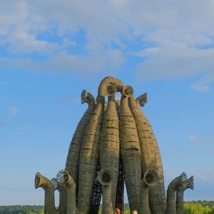 Окресности