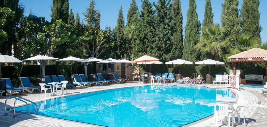 The swimming pool is surrounded by lush green gardens.