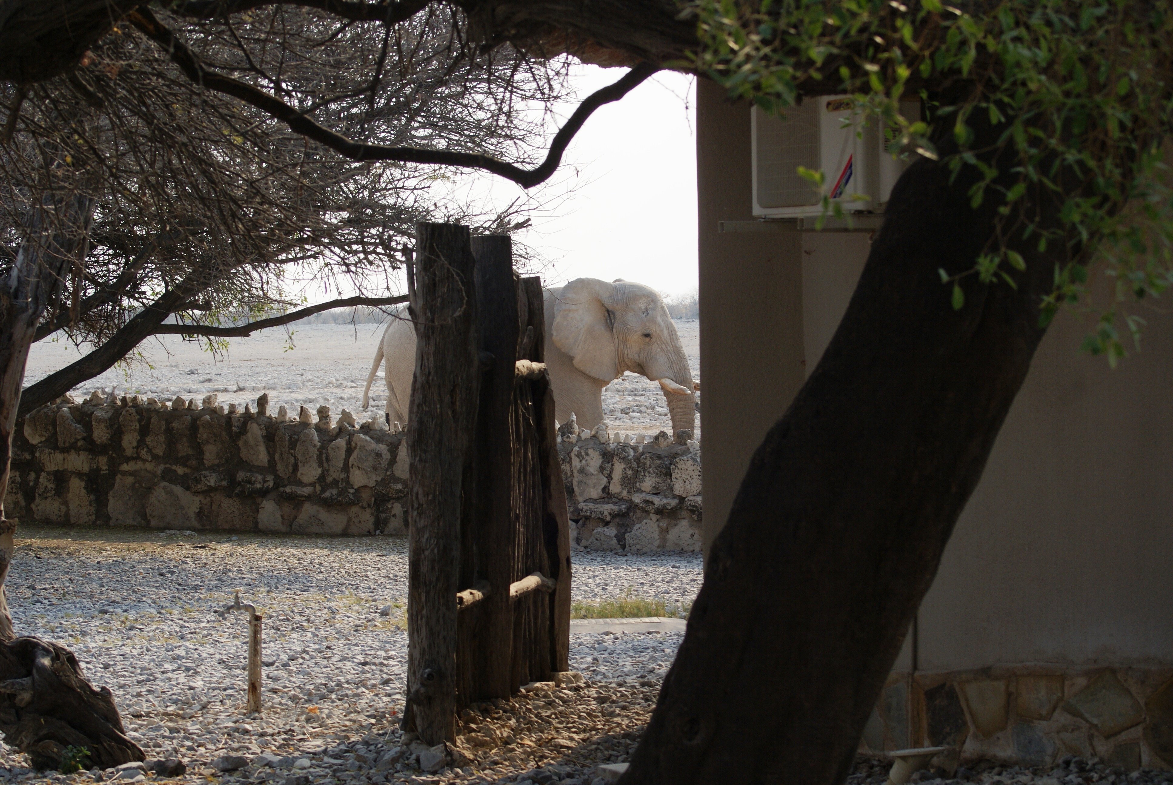 OKAUKUEJO CAMP - Updated 2023 Prices & Lodge Reviews (Etosha National ...