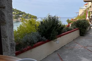 Seyahat Eden