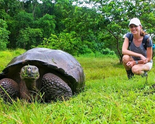 galapagos islands eco tours