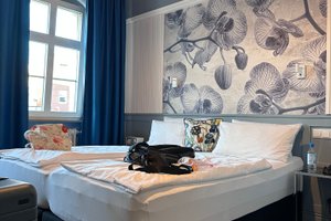 Zimmer und Suite