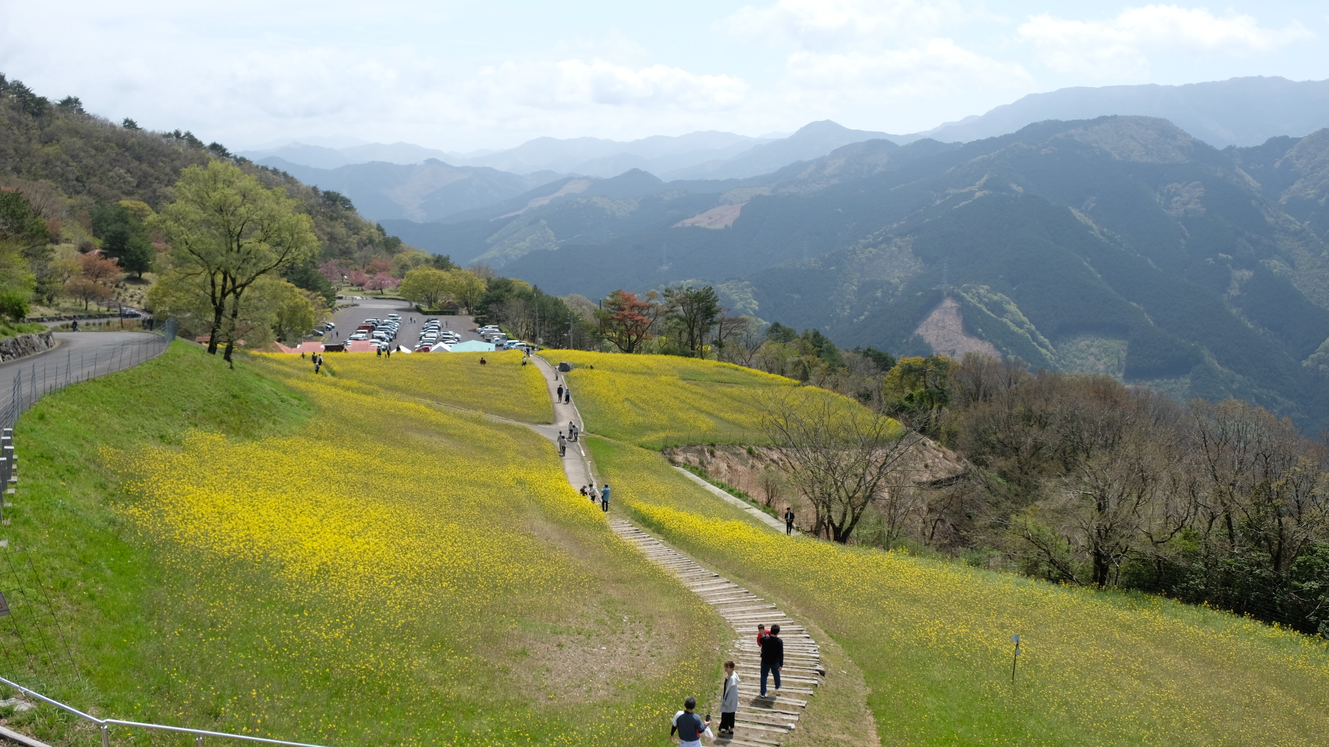 翠波峰 | クラフト酒・日本酒の通販ならKURAND（クランド）