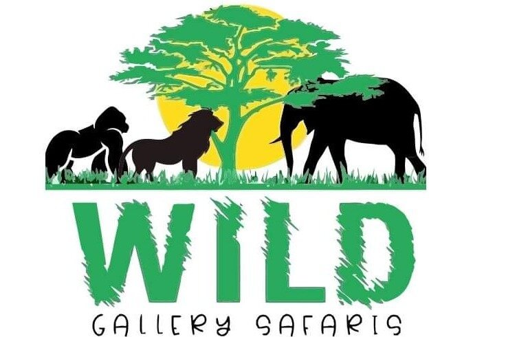 Wild Gallery Safaris - All You Need to Know BEFORE You Go (2024)