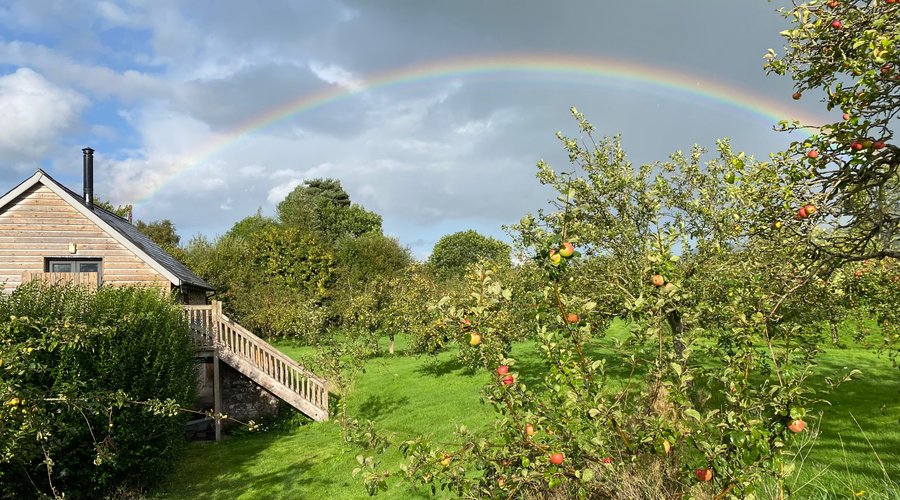 When it rains look for rainbows, when it’s dark look for stars