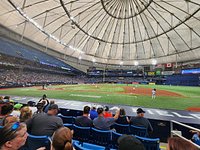 Baseball done right - Review of Tropicana Field, St. Petersburg, FL -  Tripadvisor