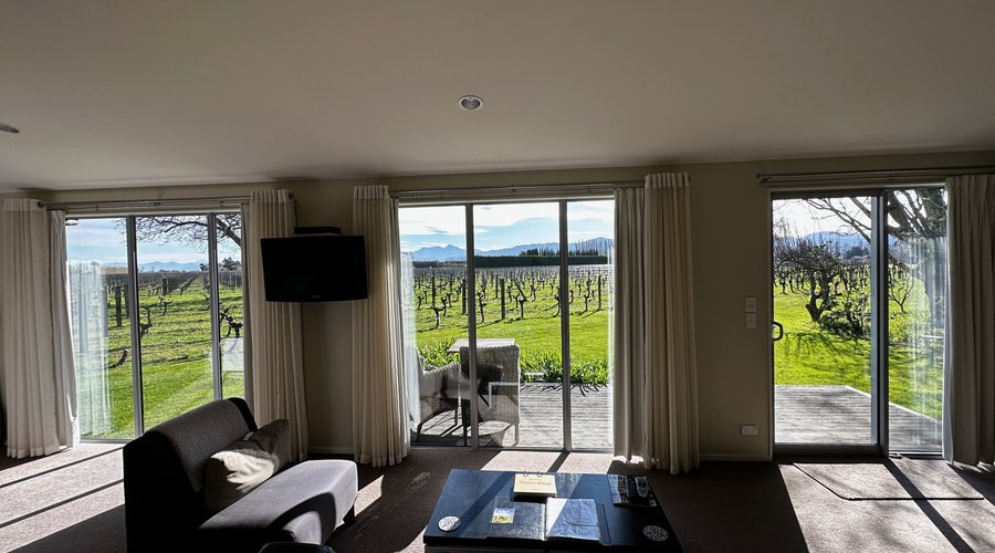 Right in the vineyard!