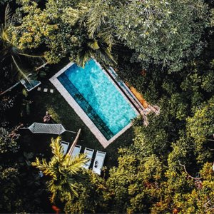 Ceylon Olive - Bird's-eye view