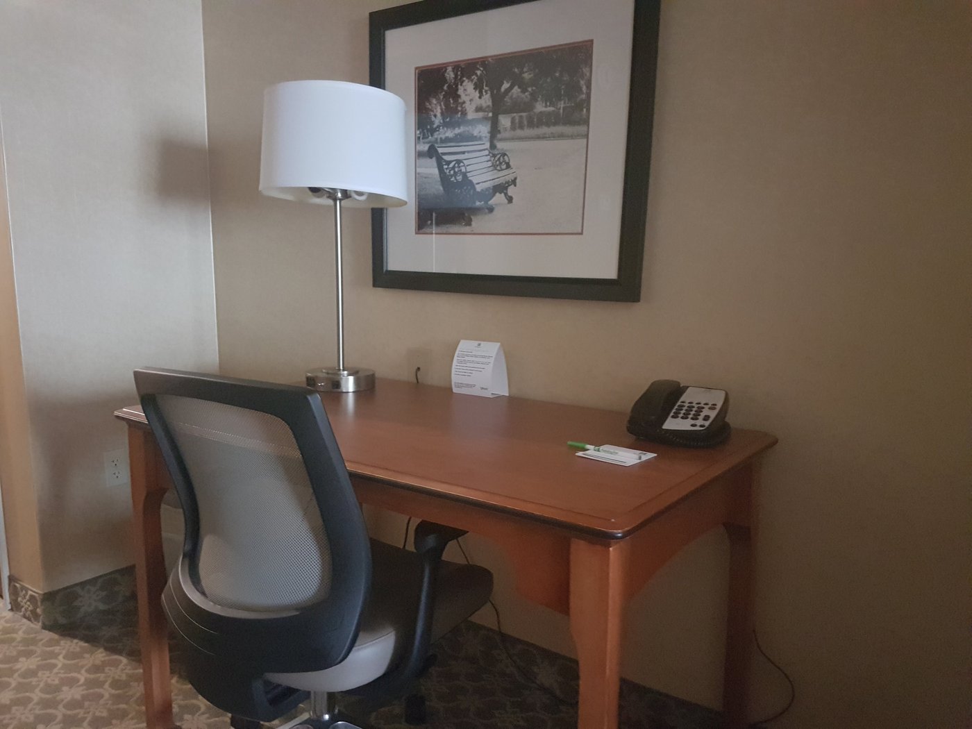 HOLIDAY INN CARBONDALE-CONFERENCE CENTER, AN IHG HOTEL $113 ($̶1̶3̶2̶ ...