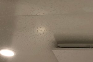 旅行者の写真