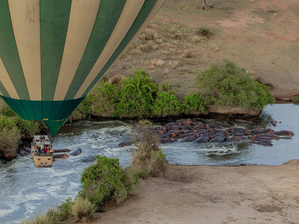 Serengeti Balloon Safaris, Национальный парк Серенгети: лучшие советы перед  посещением - Tripadvisor