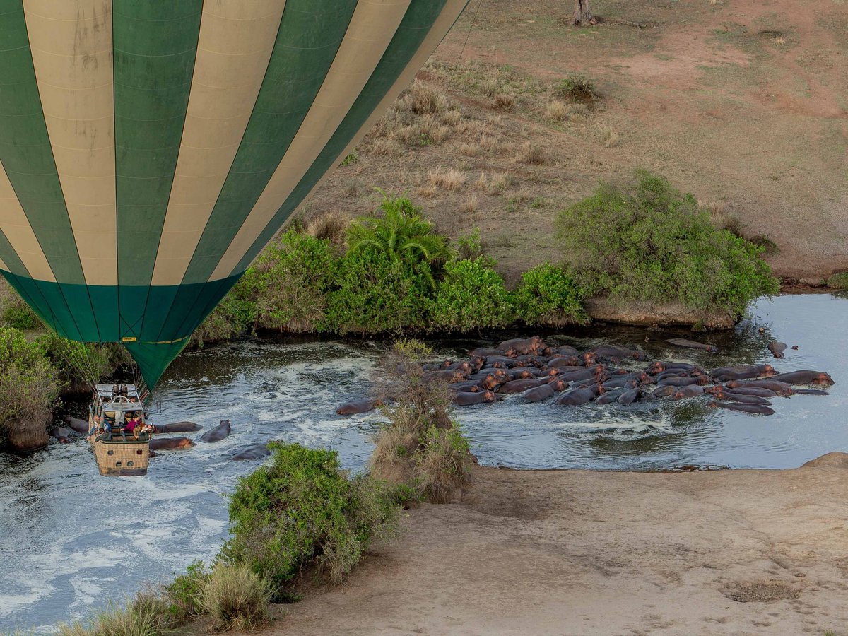 Serengeti Balloon Safaris, Национальный парк Серенгети: лучшие советы перед  посещением - Tripadvisor