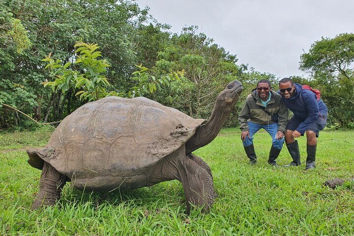 2024 Santa Cruz Highland Tour Giant Tortoises Lava Tunnel