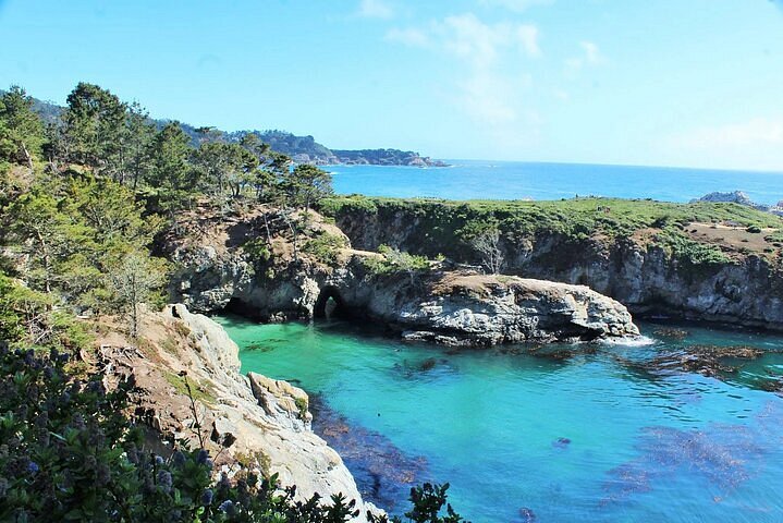 se permiten perros en point lobos