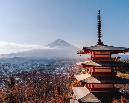 japan city tour company review