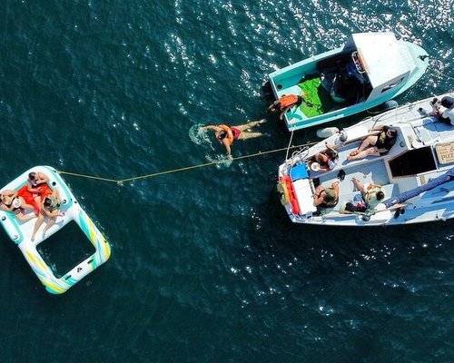 14 Mejores lugares para nadar con delfines en el mundo