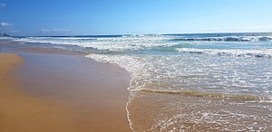 Surfers Paradise Beach - All You Need to Know BEFORE You Go (with