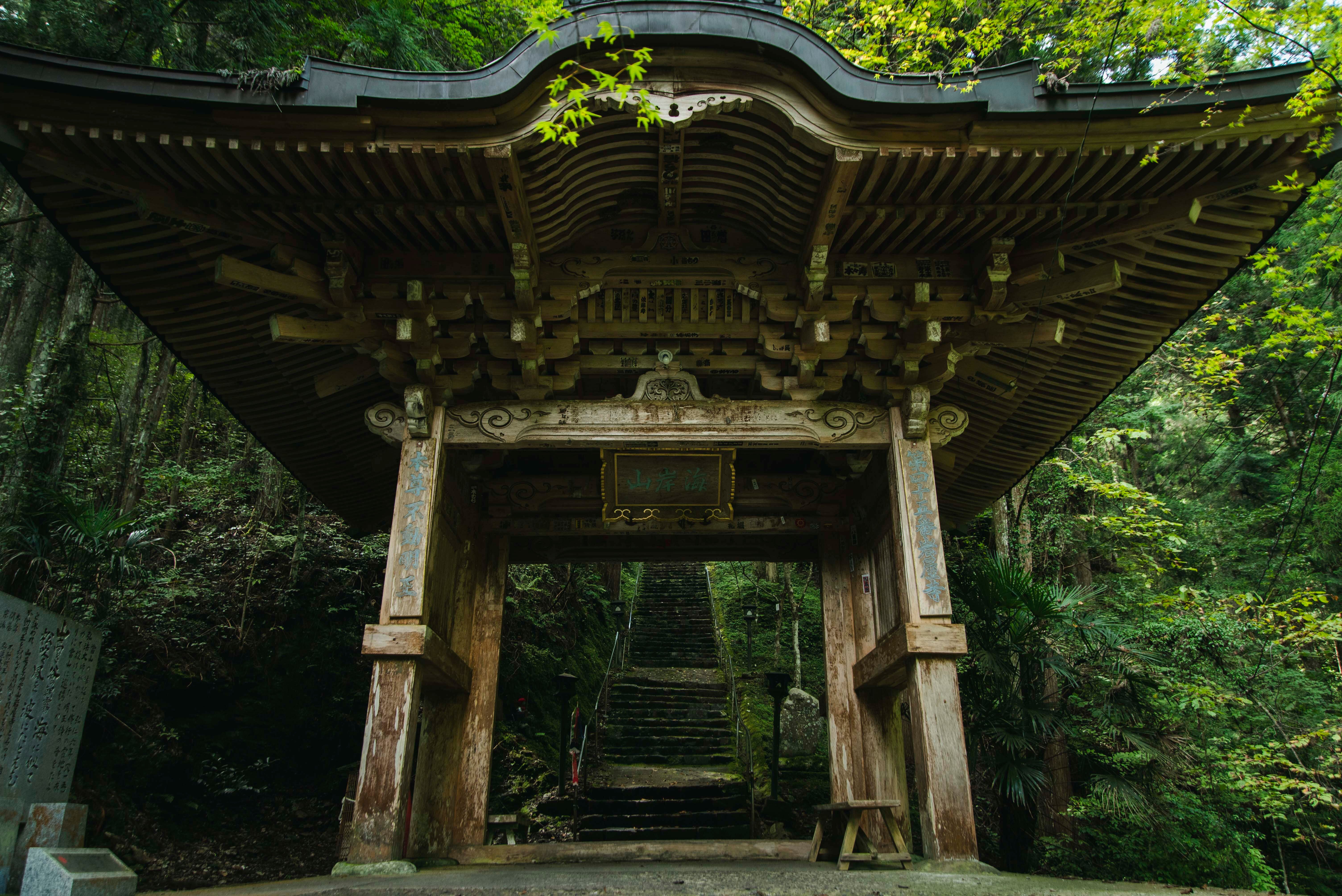 海岸山 岩屋寺 口コミ・写真・地図・情報 - トリップアドバイザー