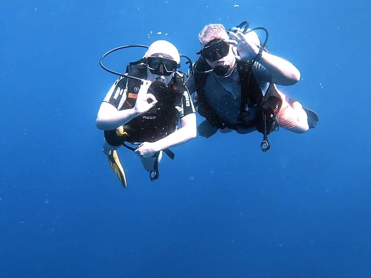 12 Top Tips for Planning An Amazing Scuba Diving Trip - Divepoint