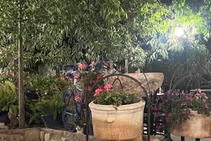 מטייל