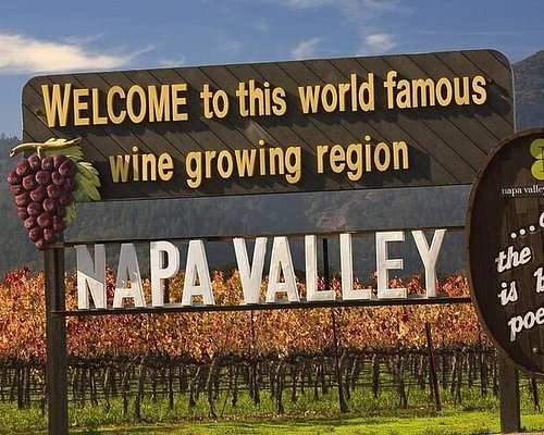 Wine & Wellness Tour in Napa Valley