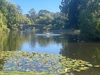 Beacon Hill Park - What To Know BEFORE You Go