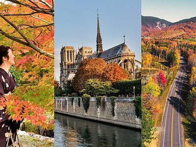 travel tourism websites