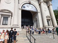 American Museum of Natural History – Museum Review