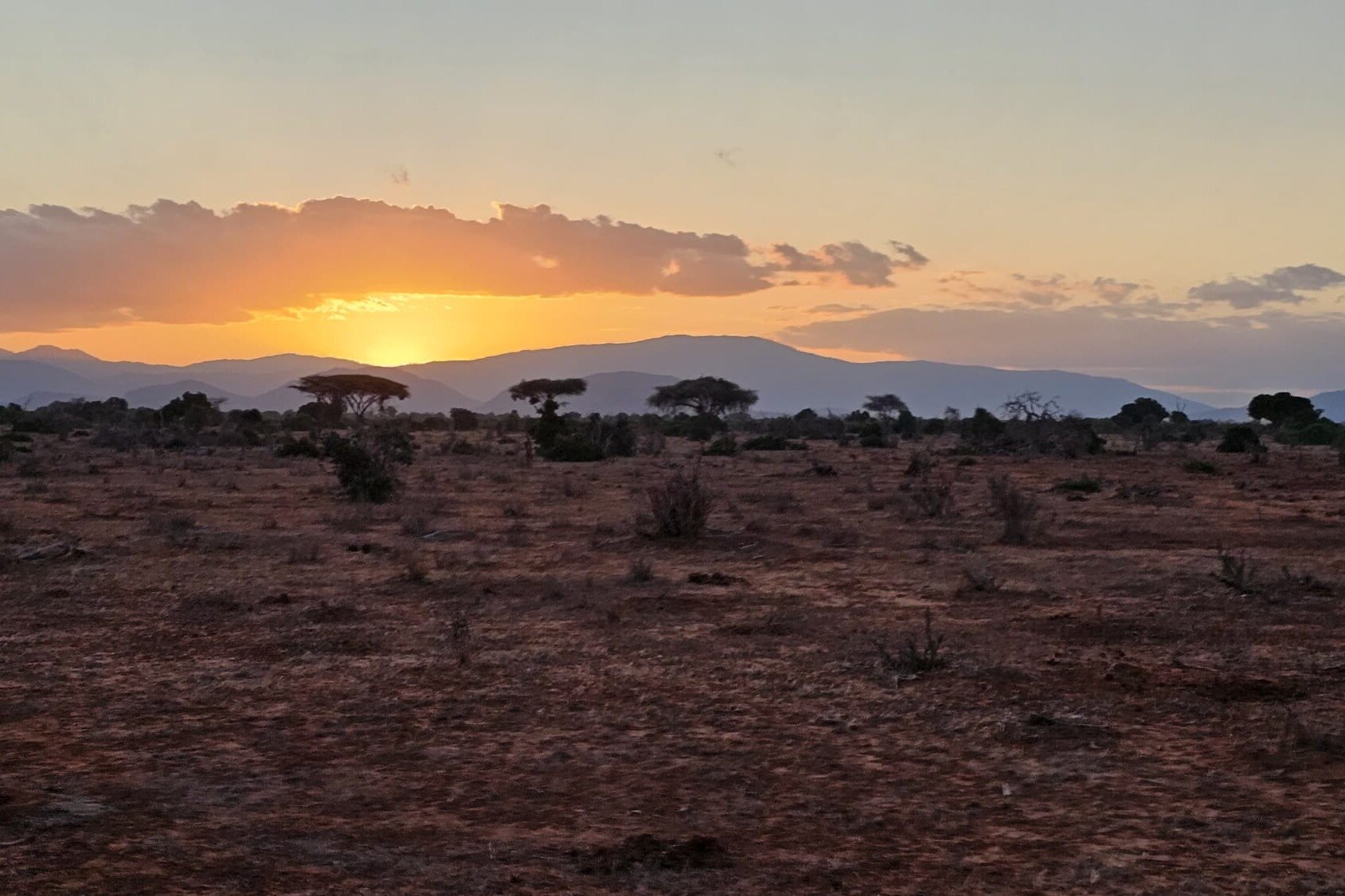 THE 15 BEST Things To Do In Kenya - 2024 (with Photos) - Tripadvisor