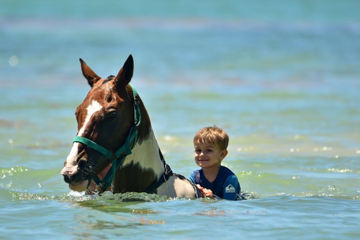 Swim Horse Punta Cana | HORARIOS, DIRECCIÓN, FOTOS Y OPINIONES