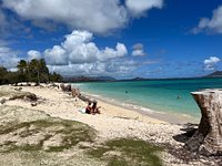 Island Flow Yoga - Kailua Beach: Read Reviews and Book Classes on