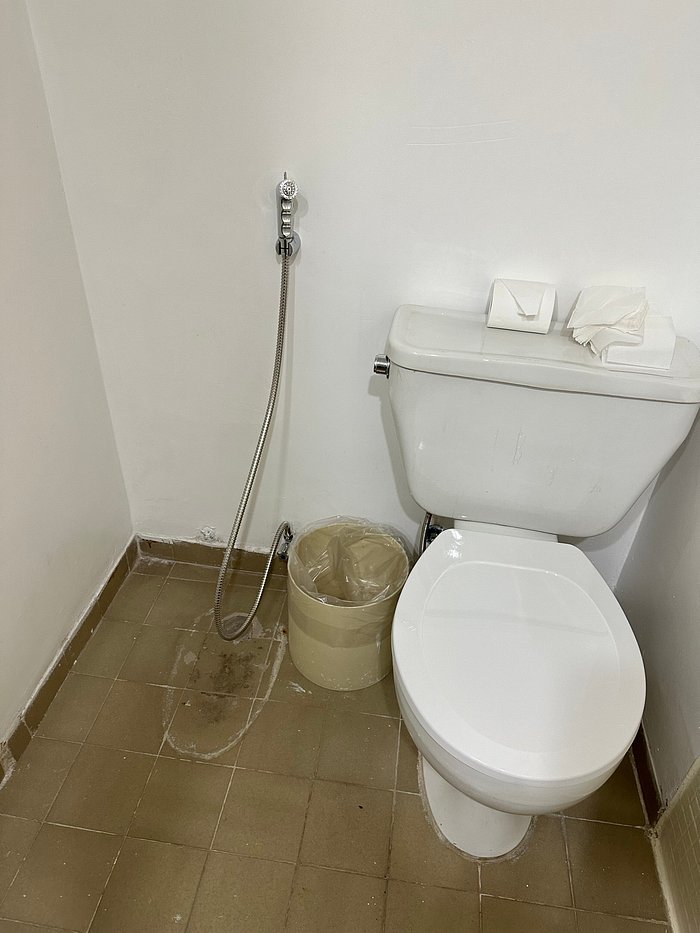 gru visits toilet 