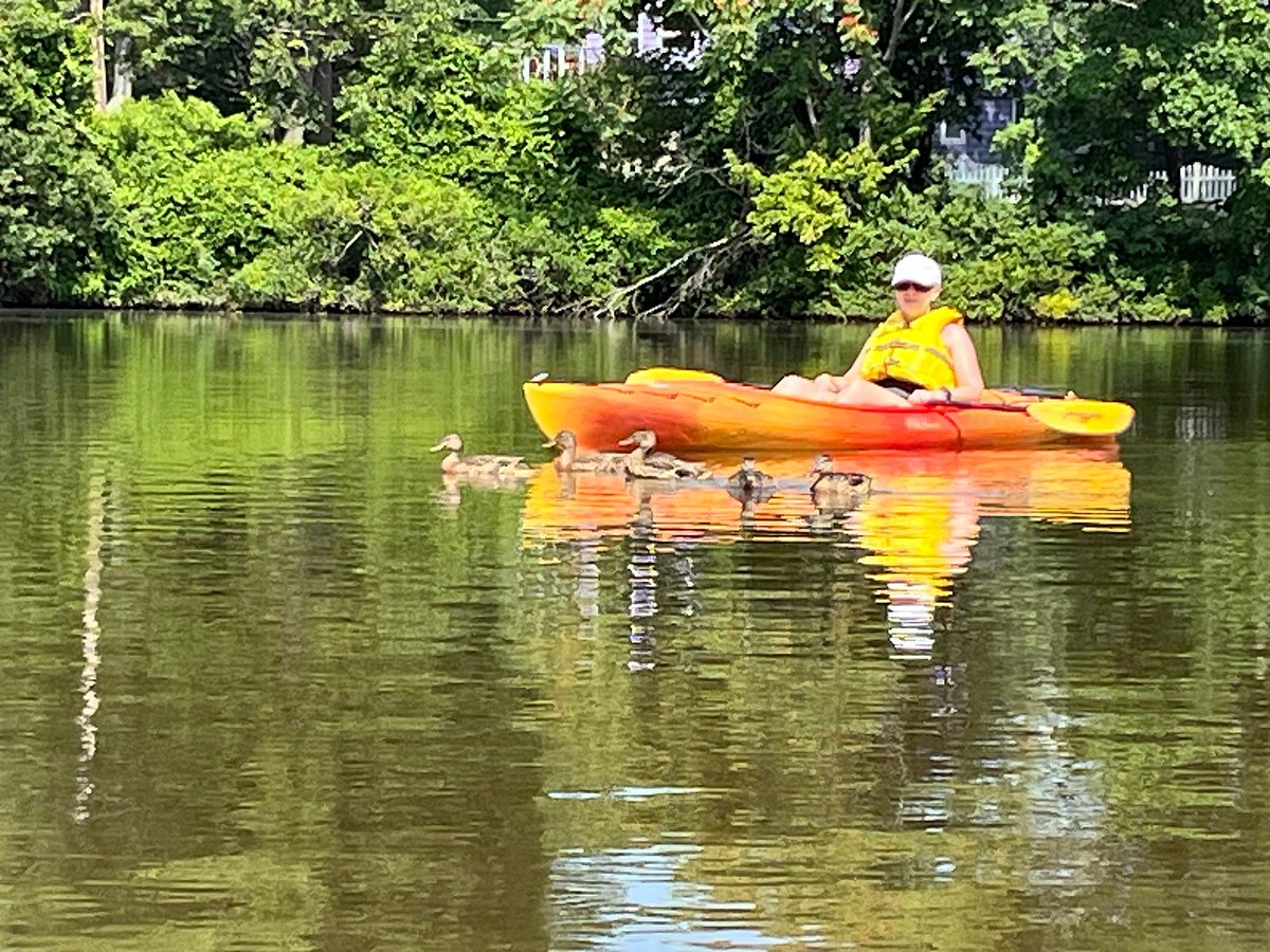 To Do Today: Kayaking on the Charles River, BU Today