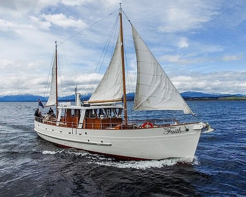 fiordland boat tours