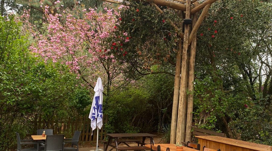 THE POT N PLOW, Haenertsburg - Restaurant Reviews, Photos & Phone Number - Tripadvisor