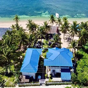 Drone View 