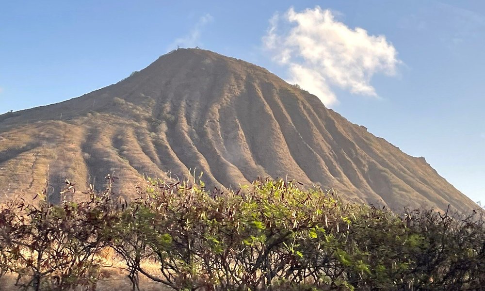 Grand Circle Island and Haleiwa 9 Hour Tour