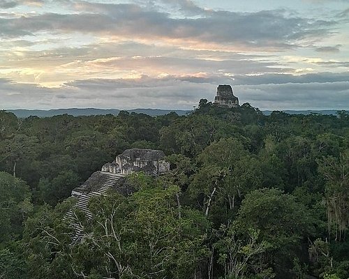 jungle tour tikal